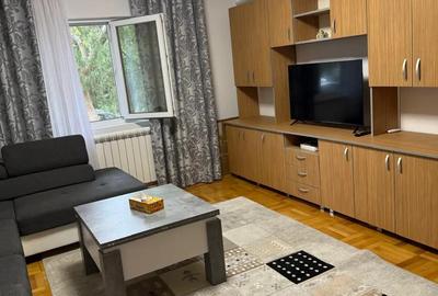 Inchiriez apartament 1 camera Unirii Nord, parter - 2