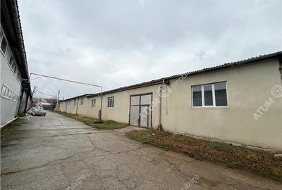 Hala industriala 1200 mp utili de inchiriat in Cisnadie - 14