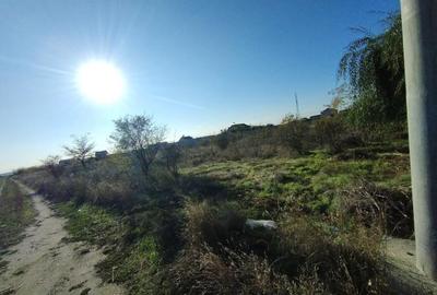 Teren intravilan 1000mp, front 52,38, zona Damila - 3