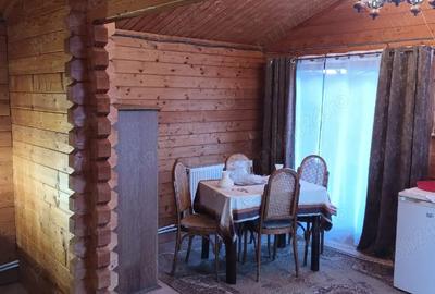 Vand casa la tara - 3