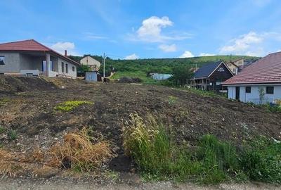 Teren de 756 mp, în Chinteni - 5