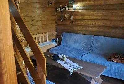 Vand cabana Valea Ariesului - 6