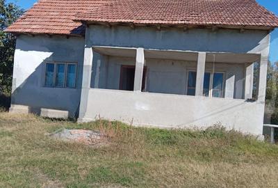 Casă cu 4 camere în Vitomirești