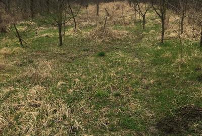 Casă cu 3 camere cu Teren 2000 Mp în Tirol - 2