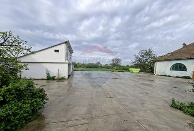 Curte 640 mp betonata in Pauli? | Acces auto + 2 spa?ii - 1