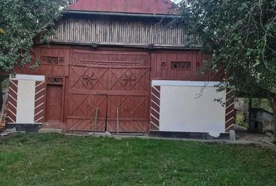 Casă cu 3 camere cu Teren 7000 Mp în Asuaju de Sus - 3
