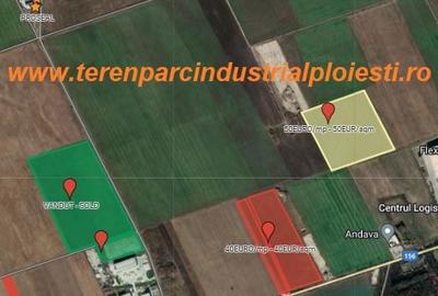 Teren în Vest - 1
