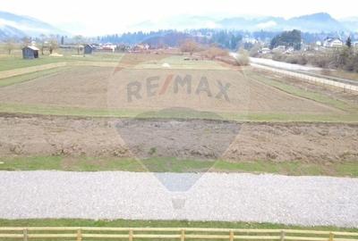 Teren Construcții intravilan de 7834 mp, în Dorna-Arini - 3