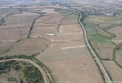 Teren Industrial de Vânzare – PUZ Finalizat, Locație Strategică! - 3