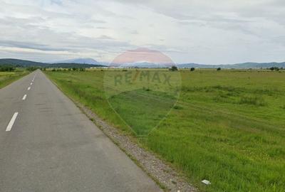 Teren intravilan 2000 mp - Strada Cucului, Brasov - 1