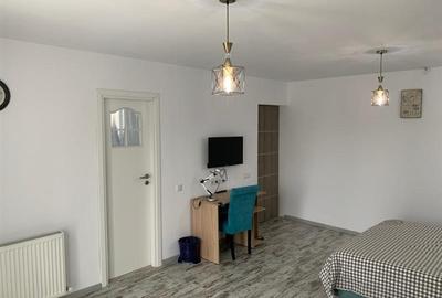 INCHIRIERE VILA 14 camere, Bariera Bucov - 20