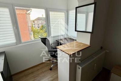 Apartament 2 camere spatios , pet friendly (fara caine) , Lipovei - 11