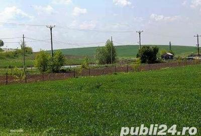 Teren de 45000 mp, în Central - 7