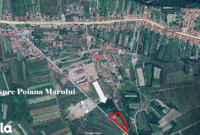 Teren de 7838 mp, în Zăvoi - 4