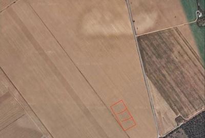 Teren de 500 mp, în Frumușani - 1