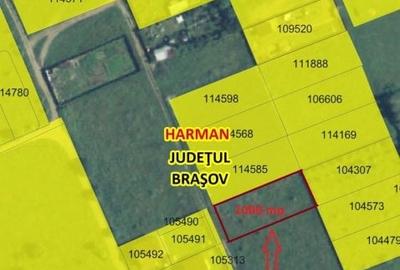 Teren Construcții intravilan de 1000 mp, în Hărman