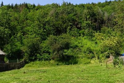 Spațiu comercial, în Valea Siliștii - 5