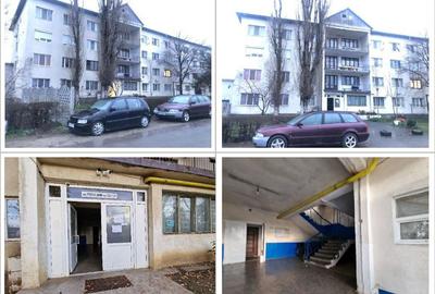 Garsonieră nedecomandată în Șandra - 1