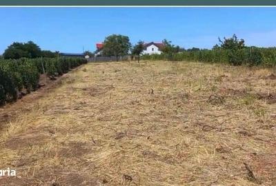 Teren de 1700 mp, în Valea Călugărească - 4