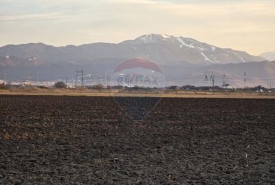 Teren agricol intravilan de 30000 mp, în Nord - 12