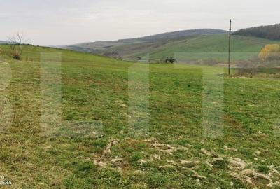 Investitie ! Casa individuala 1 camera, 51 mp, 3000 mp teren, Geaca ! - 4