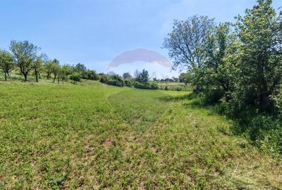 Teren Construcții intravilan de 3864 mp, în Central - 9