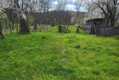 Casă individuală cu 4 camere cu Teren 2600 Mp în Hulubești - 7