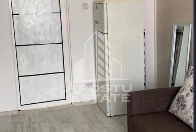 Garsoniera renovata, etaj intermediar, zona Buziasului - 2