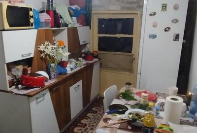 Casă cu 2 camere cu Teren 5000 Mp în Zlata - 4