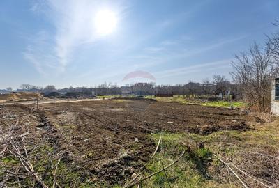 Teren Construcții intravilan de 304 mp, în Micălaca - 3