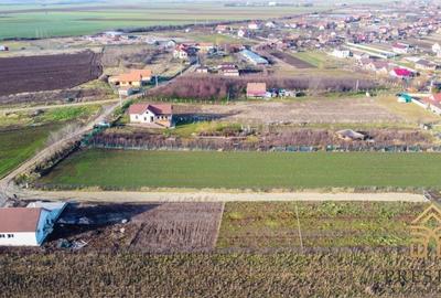 Teren 1000 mp intravilan de vanzare in Biharia - 6