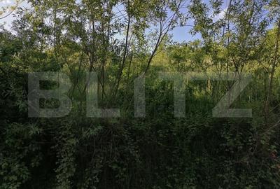 Teren de 14400 mp, în Gemenea-Brătulești - 4