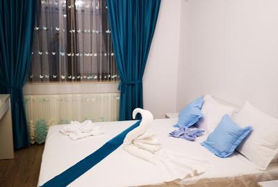 In hiriez apartament cu 2 camere si 2 bai - 2