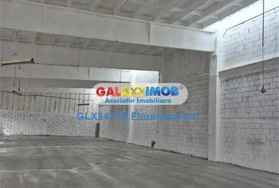 9005 Inchiriere hala 470mp Chitila-Rudeni - 2