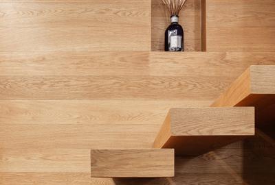 LUXURY VILLA! Bijuterie unica in Domenii, garaj subteran 108 mp, terase, curte! - 19