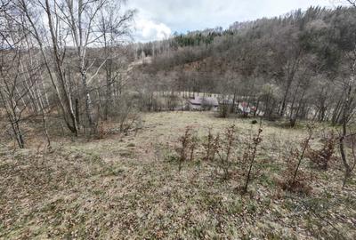 Teren de 6855 mp, în Exterior Vest - 1