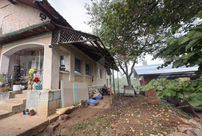 Casa 120 mp, teren 31 arii Medi?a, comuna Viile Satu M - 6