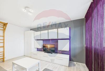 Apartament cu 2 camere de vanzare - Sura Mare - 17