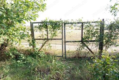 Casă cu Teren 1151 Mp în Ciuchici - 1