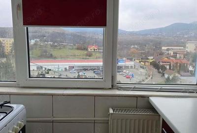 Apartament 3 camere in Deva, zona Balcescu - 8