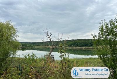 LAKESIDE HOME - Paleu - 26