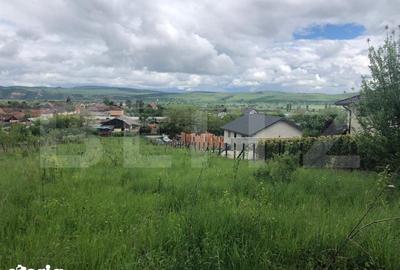Teren de 10656 mp, în Bod - 5
