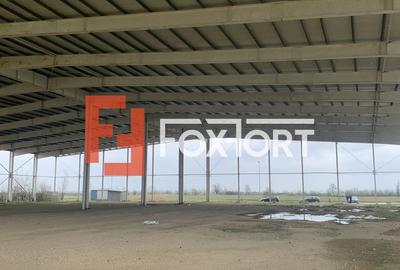 COMISION 0% Hala industriala 5500 mp utili zona de Nord Timisoara - ID V5143 - 7