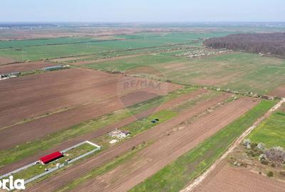 Teren de 500 mp, în Săbăreni - 5