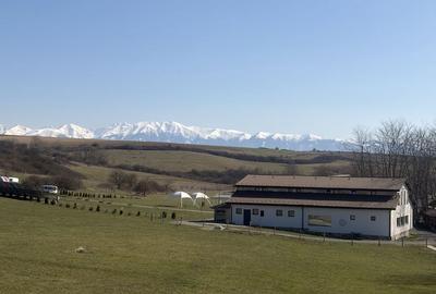 Casă cu 4 camere în Cașolț - 4