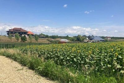 Teren intravilan Balteni, Scrovistea - langa Satul Brancovenesc - 3