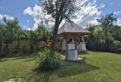 Casă cu 3 camere cu Teren 1400 Mp în Central - 13