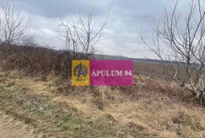 Teren Splaiul Unirii- Confort City. - 3