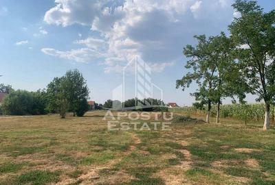 Teren intravilan, 3840mp, Turnu - 1