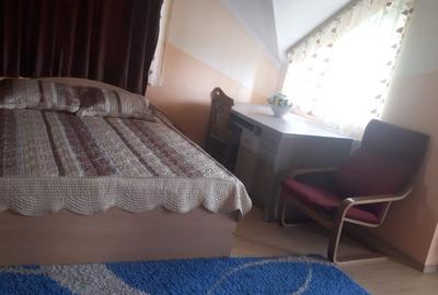 Zona Dumbravei, casa 10ari teren - 13